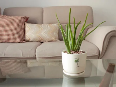 VIP-Botanica Premier Apt -Super airy corner apartment-gym & pool Free-Near Airport-Luxury – Photos 10